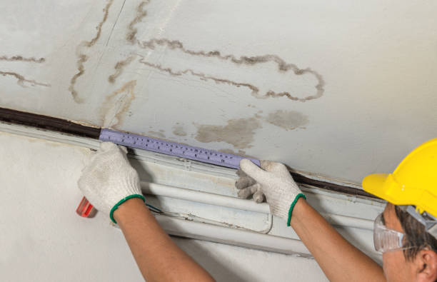 Reliable Water Damage Restoration contractor in Anderson Island, WA by Water Damage Irwin